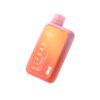 ELF BAR BC10000 Disposable Cherry Watermelon 10000パフ 18ml